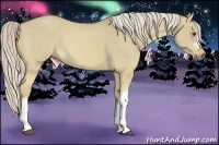 Horse Color:Palomino Roan Dun