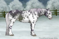 Horse Color:Watercolor White Spotted Silver Bay Ice