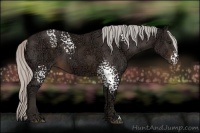 Horse Color:White Spotted Silver Brown Ice 