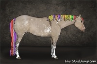 Horse Color:Painted White Spotted Silver Grullo 