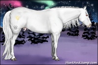 Horse Color:Smoky Grullo Chinchilla Splash Appaloosa  and White Spotted Silver Smoky Grullo Chinchilla Splash Appaloosa 