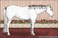 Horse Color:Silver Grullo Ice Splash Tobiano 