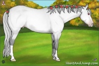 Horse Color:Silver Sable Champagne Chinchilla Dun Rabicano 
