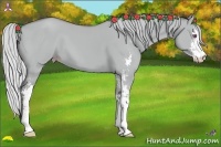 Horse Color:Silver Classic Champagne Chinchilla Dun Sabino
