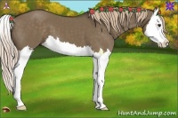 Horse Color:Liver Red Dun Splash 
