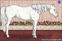 Horse Color:Silver Buckskin Dun Tobiano Near Leopard