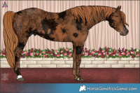 Horse Color:Chestnut Ice 