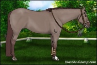Horse Color:Chocolate Grullo Sabino 