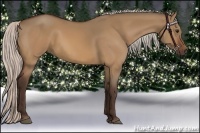 Horse Color:Silver Bay Dun