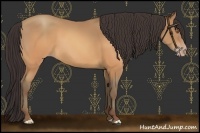 Horse Color:Sable Champagne 