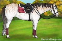 Horse Color:White Spotted Bay Dun Splash  and White Spotted Bay Dun Splash 