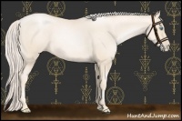 Horse Color:Gold Cream Champagne Pearl 