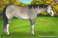 Horse Color:White Spotted Grullo Onyx Splash Brindle 