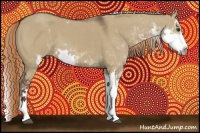 Horse Color:Liver Red Dun Sabino 