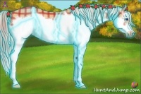 Horse Color:Thunderstruck Plaid Silver Bay Splash Frame Rabicano