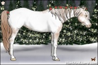 Horse Color:White Spotted Bay Pearl Frame Appaloosa 