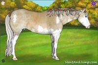 Horse Color:Silver Brown Dun Splash 