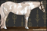 Horse Color:White Spotted Chocolate Palomino Roan Pearl