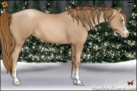 Horse Color:Chestnut Pearl Sabino