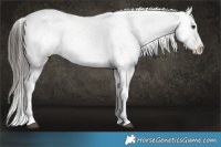 Horse Color:Liver Chestnut Sabino Splash Tobiano Appaloosa