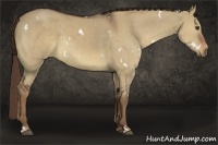 Horse Color:White Spotted Liver Red Dun 
