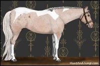 Horse Color:Chocolate Silver Bay Tobiano Varnish 