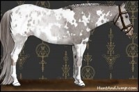 Horse Color:White Spotted Liver Chestnut Varnish 