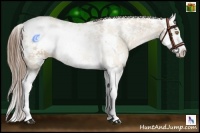 Horse Color:Bay Pearl Dun Sabino Splash