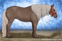 Horse Color:Silver Black Rabicano