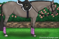 Horse Color:Grullo