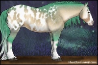 Horse Color:Watercolor Buckskin Onyx Sabino Splash Appaloosa 