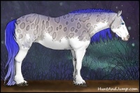 Horse Color:Watercolor Buckskin Ice Onyx Sabino Splash 
