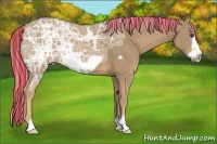 Horse Color:Painted Palomino Ice Frame 