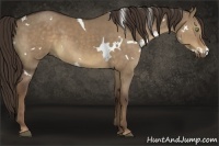 Horse Color:White Spotted Liver Red Dun 
