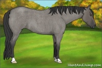 Horse Color:Smoky Grullo Roan 
