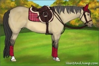Horse Color:Buckskin Dun
