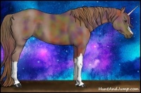 Horse Color:Nacre Chestnut 