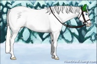 Horse Color:Silver Amber Champagne Pearl Dun Splash Tobiano Appaloosa