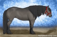 Horse Color:Black Rabicano 