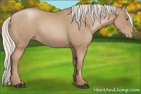 Horse Color:Silver Blue Roan Pearl 
