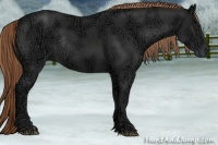 Horse Color:Liver Chestnut Ice Rabicano