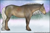 Horse Color:Liver Chestnut Rabicano 