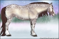 Horse Color:Chocolate Brown Ice Roan Onyx Sabino Rabicano