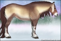 Horse Color:Chocolate Brown Roan Onyx Rabicano