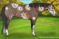 Horse Color:Buckskin Ice Splash 