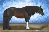 Horse Color:Brown 