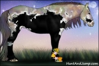 Horse Color:Nacre White Spotted Bay Ice Sabino Frame Rabicano