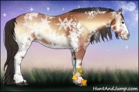 Horse Color:White Spotted Buckskin Ice Onyx Sabino 