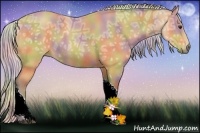 Horse Color:Nacre Silver Buckskin Ice Tobiano Rabicano 