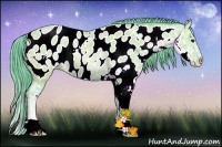 Horse Color:Watercolor Bay Ice Dun Sabino Appaloosa Rabicano